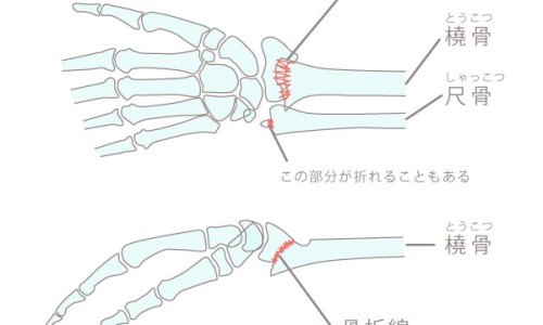 生牡蛎和煅牡蛎图片区别-生牡蛎和煅牡蛎图片网 - 网站提供生牡蛎和煅牡蛎的图片小常识、生牡蛎与煅牡蛎图片对比