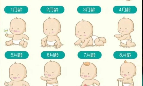 生牡蛎和煅牡蛎图片网 - 网站提供生牡蛎和煅牡蛎的图片小常识、生牡蛎与煅牡蛎图片对比