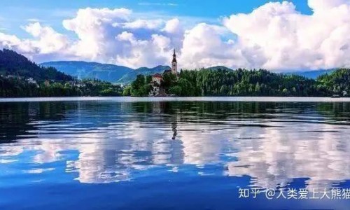 生牡蛎和煅牡蛎图片网 - 网站提供生牡蛎和煅牡蛎的图片小常识、生牡蛎与煅牡蛎图片对比